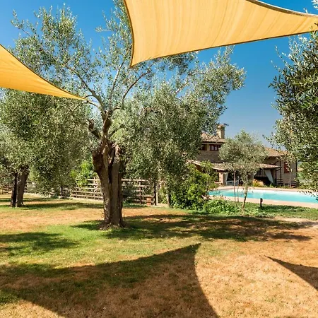 Il Barbagianni Montepescali