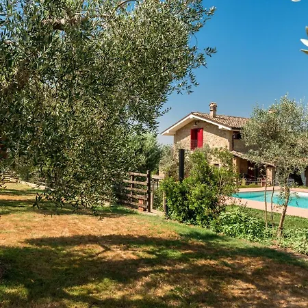 Il Barbagianni * Montepescali